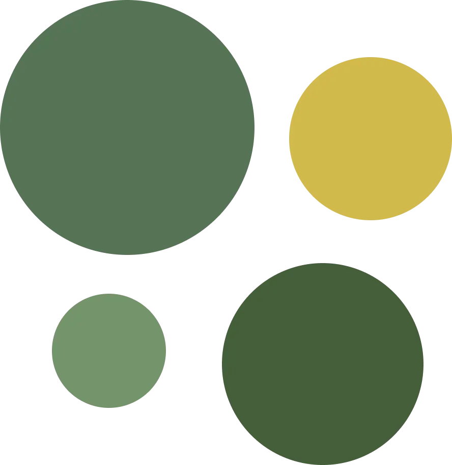 Four representative green and yellow colors selected with K-means